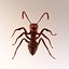 3d Ant Model Realistic & Animated