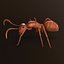 3d Ant Model Realistic & Animated