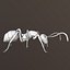 3d Ant Model Realistic & Animated