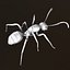 3d Ant Model Realistic & Animated