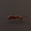 3d Ant Model Realistic & Animated