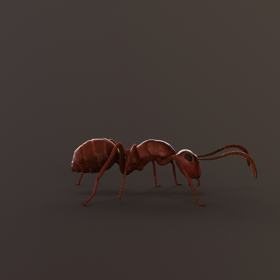 ant animations model https://p.turbosquid.com/ts-thumb/I7/ZIVBPt/wSvgWMSK/t1/jpg/1551048202/1920x1080/turn_fit_q99/7a50623dc09d936ebd4a26b5ba41c65df85aeb43/t1-1.jpg