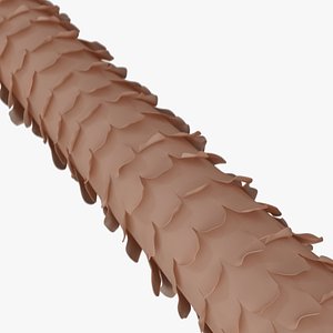 3D MODEL HAIR CLOSE UP FULL RIG