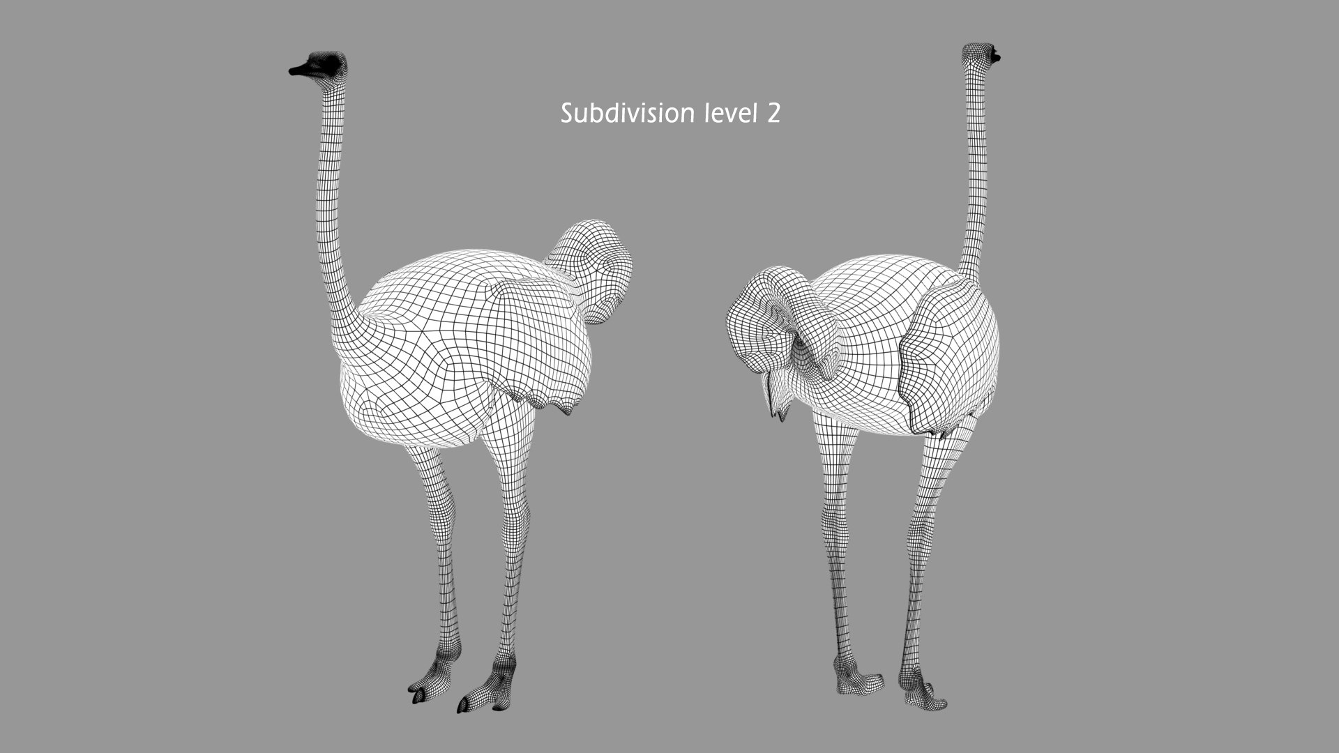 3d bird https://p.turbosquid.com/ts-thumb/I7/eDCsbs/Mn/hd_ostrich_wire_subd2/jpg/1693020790/1920x1080/fit_q87/58a02a8203911c7547f915061e8118d65af6cf75/hd_ostrich_wire_subd2.jpg