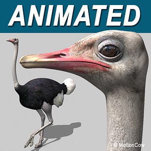 Ostrich