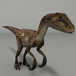 Velociraptor
