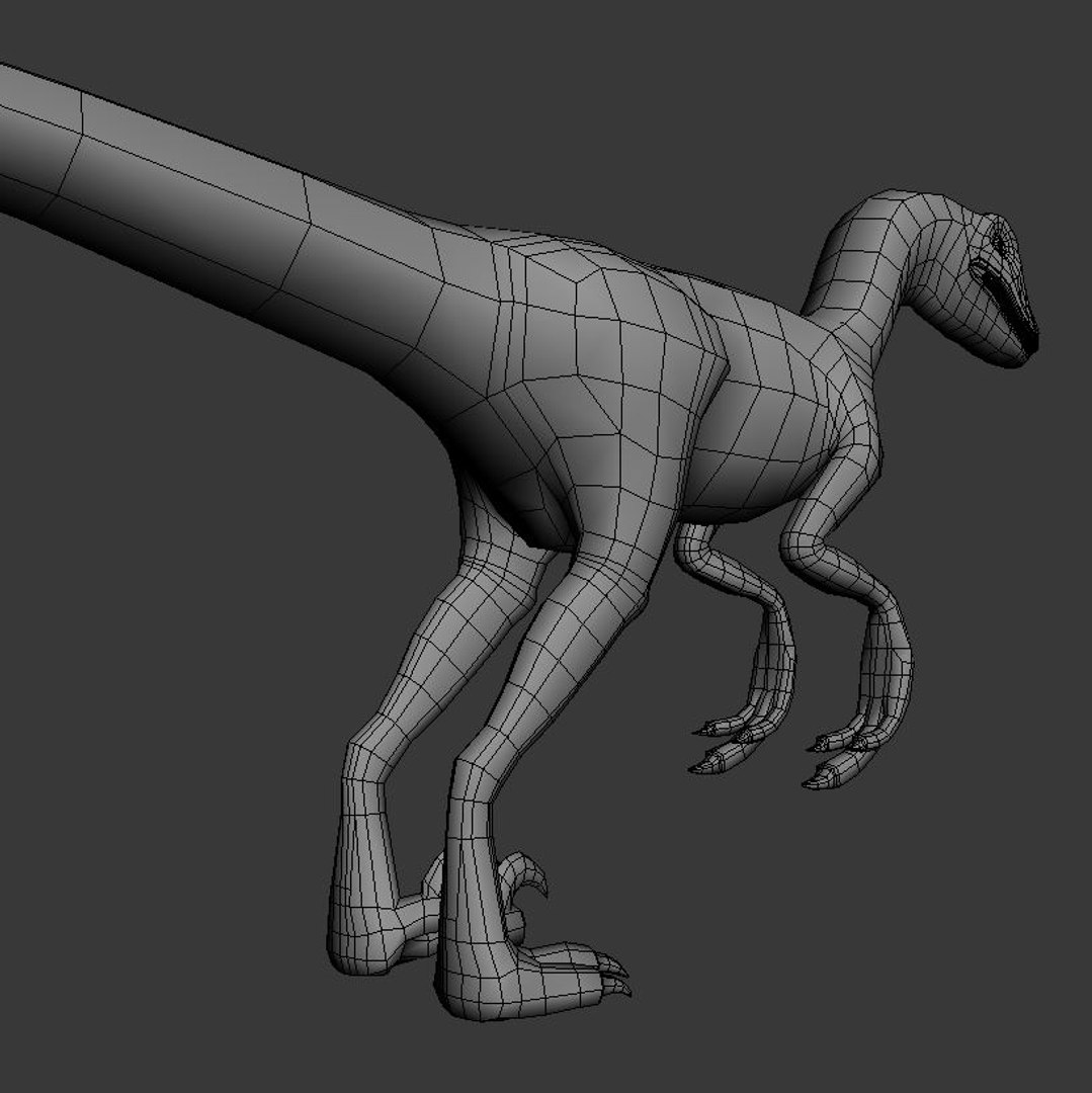 3D Model Velociraptor Raptor - TurboSquid 1235459