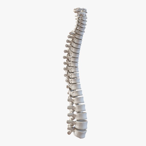Remember Your First Chiropractor Bedford Lesson? I've Acquired Some Information...