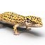 3D lizards rigged