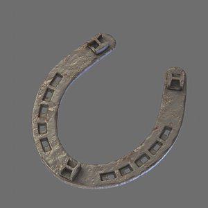 Used horse shoe