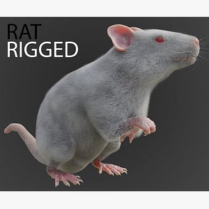 RET FOR VFX CGI