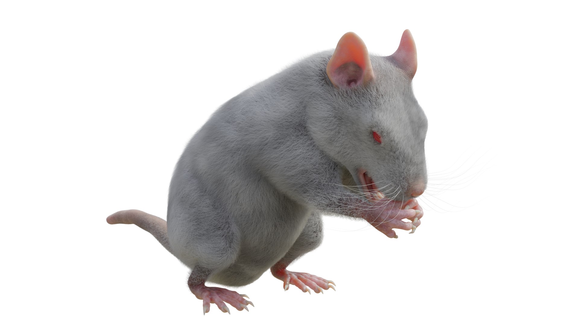 3D RET FOR VFX CGI https://p.turbosquid.com/ts-thumb/I7/yTl0Bx/vY/5/png/1717399214/1920x1080/fit_q87/2ac4183a6d655623ca995ffd83b89beca906895c/5.jpg