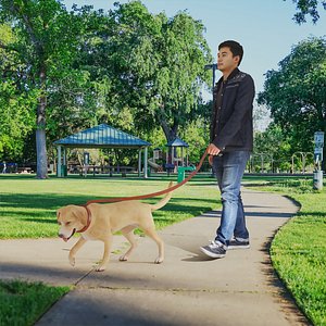 Walking with Mate