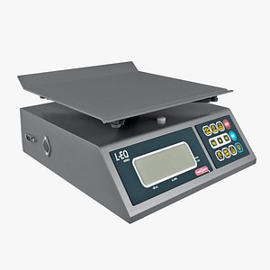 Price Computing Scale