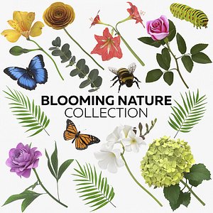 Blooming Nature Collection - 15 Products