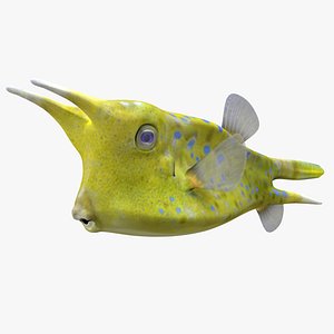 3d model of longhorn cowfish fishes