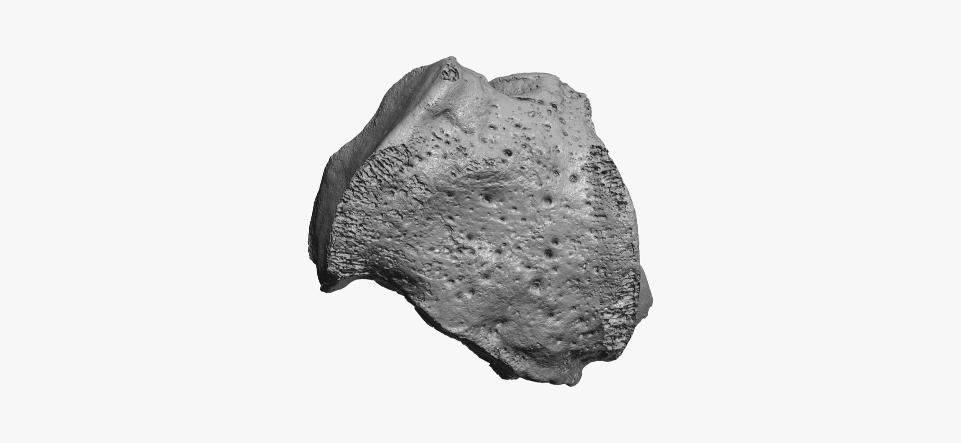 Cuboid Bone 01 Raw Model - TurboSquid 1550264
