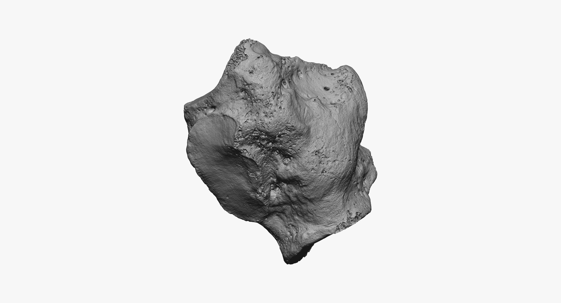 Cuboid Bone 01 Raw Model - TurboSquid 1550264