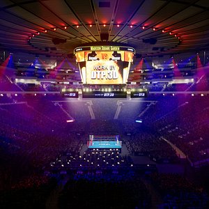 MSG Arena Boxing Fighting UE5