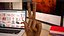 Dunkel Holz Mannequin Hand Peace Pose