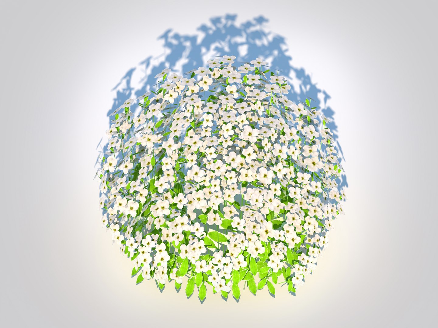 3D Arabis caucasica -Snow Cap model https://p.turbosquid.com/ts-thumb/I8/Rv4BUC/hk/3/jpg/1726058684/1920x1080/fit_q87/de42da6fa00dcf3b7254e1ce040366654a5edb8c/3.jpg