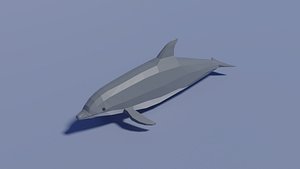 animal mammal dolphin 3D