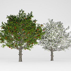 apple tree 3D model