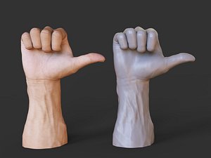 Male Hand Pose 21 3D model