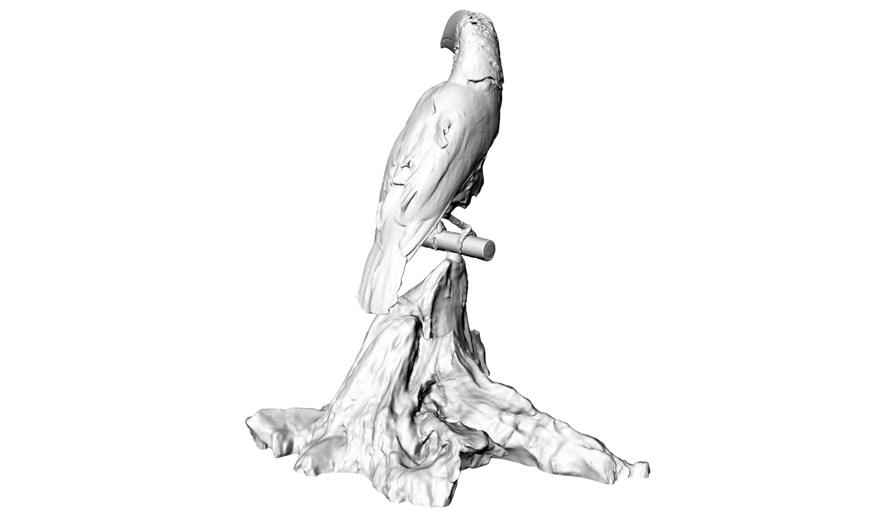 toucan bird model https://p.turbosquid.com/ts-thumb/I8/mpSQf9/64JGKol6/3/jpg/1599579021/1920x1080/fit_q87/2ef337295ae69988474eadcfaf59739e4f27c1d3/3.jpg
