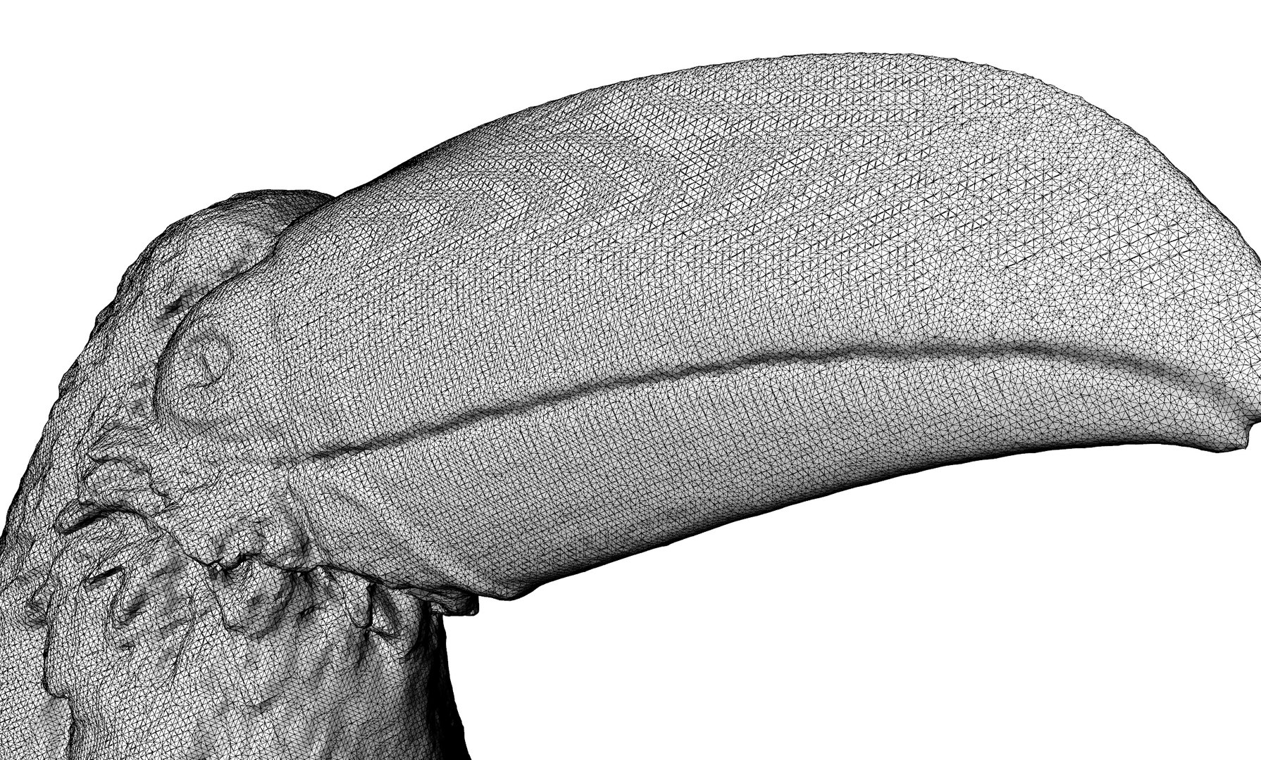 toucan bird model https://p.turbosquid.com/ts-thumb/I8/mpSQf9/CEM8DMwR/6/jpg/1599579024/1920x1080/fit_q87/61f322ed6c4169324c5ddf4fb18ba3bb6349b408/6.jpg