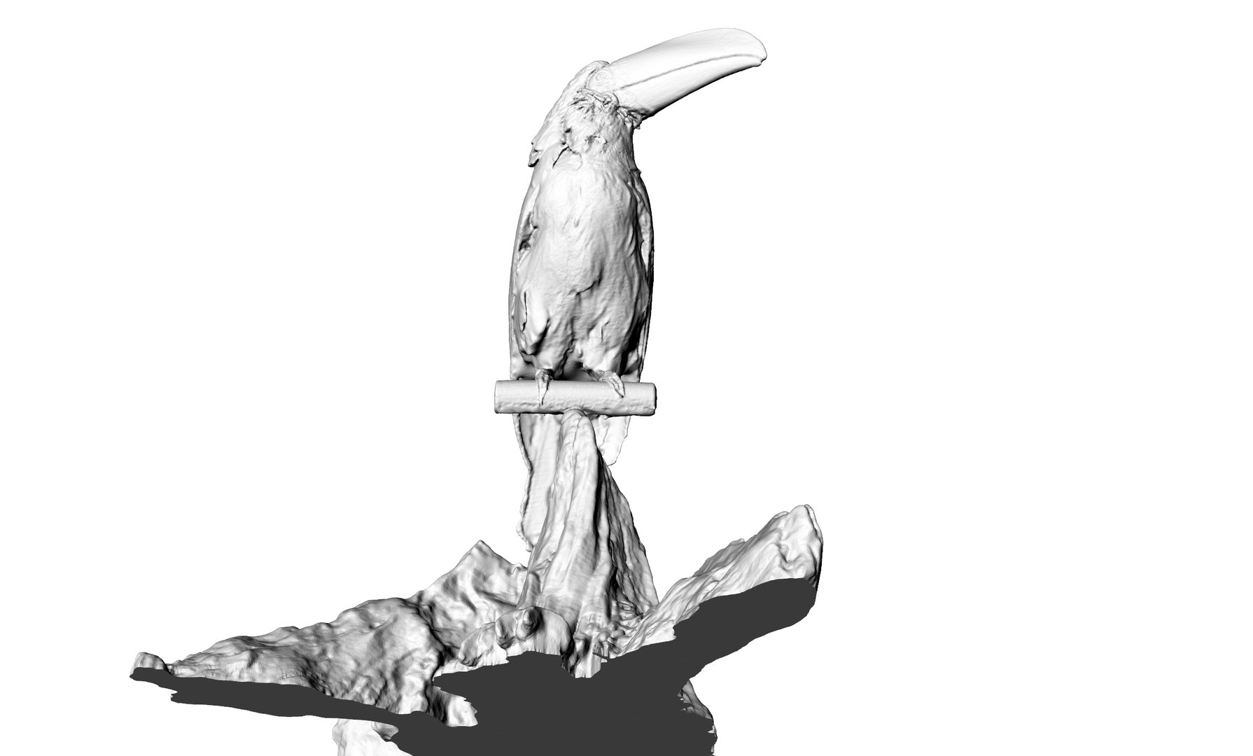 toucan bird model https://p.turbosquid.com/ts-thumb/I8/mpSQf9/vP9kwfFT/5/jpg/1599579022/1920x1080/fit_q87/e7a8b2c13f6ef8699005ae4b2499af8e32f62d36/5.jpg