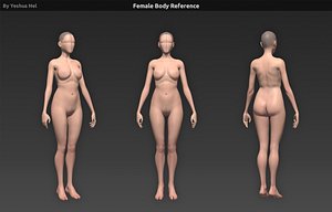 Female body reference