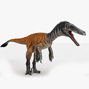 3D model raptor