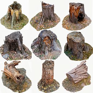 3D scan bpr tree stump model