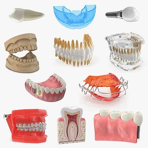 dental 4 3D model
