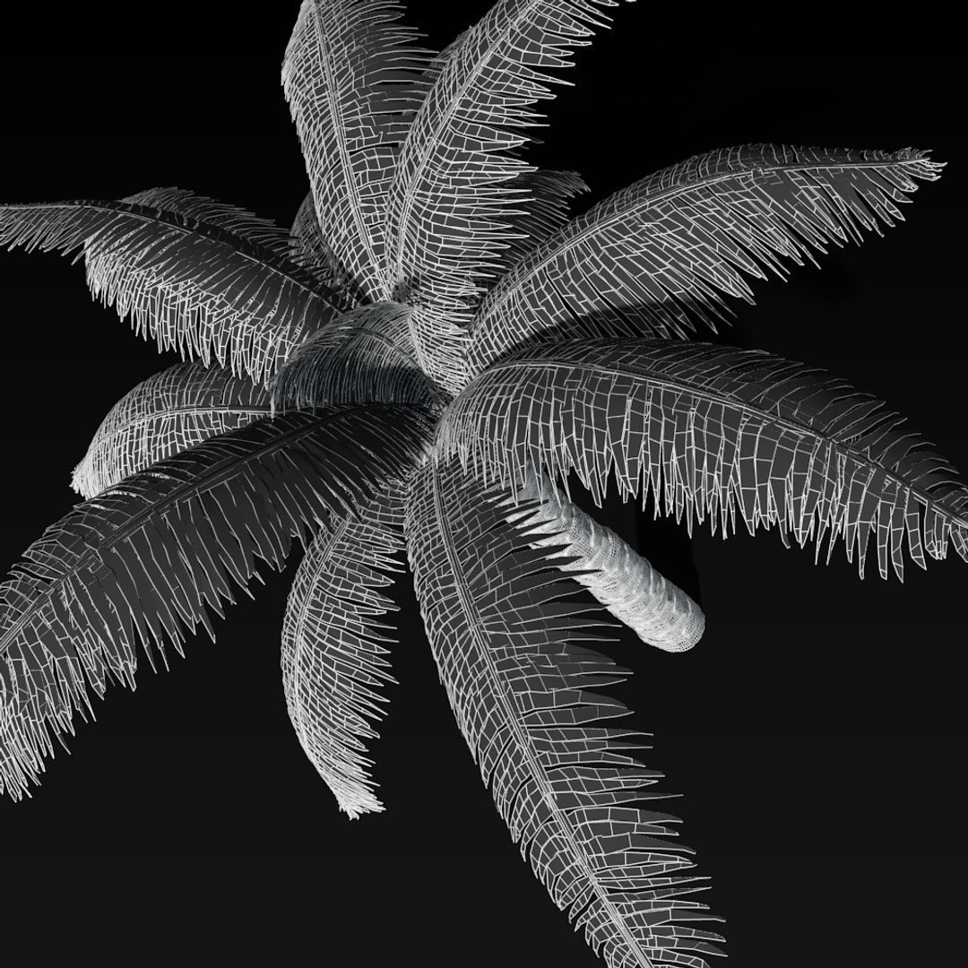 3d Model Palm Tree