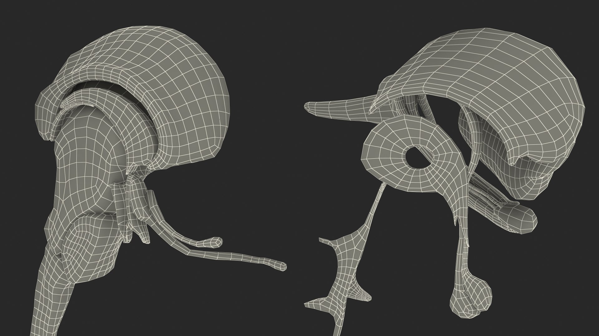 Brain Cross Section model https://p.turbosquid.com/ts-thumb/I9/R05sdM/O9/braincrosssectionvray3dmodel037/jpg/1645009481/1920x1080/fit_q87/1eaa7ac9b95bfbcb1b90efc4f5ff28e3e6622dbd/braincrosssectionvray3dmodel037.jpg