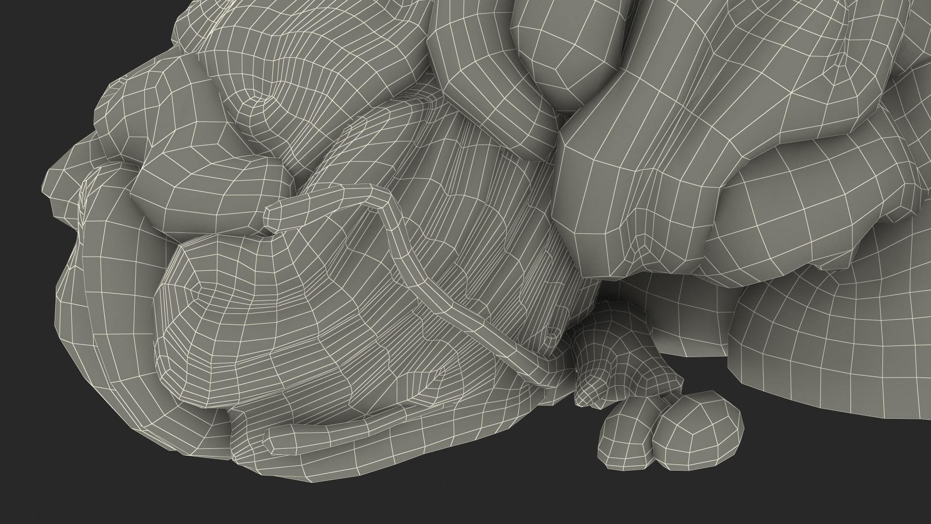 Brain Cross Section model https://p.turbosquid.com/ts-thumb/I9/R05sdM/l4/braincrosssectionvray3dmodel032/jpg/1645009467/1920x1080/fit_q87/6e3209a446bf04fb456b17f1fc8912db919db5fd/braincrosssectionvray3dmodel032.jpg