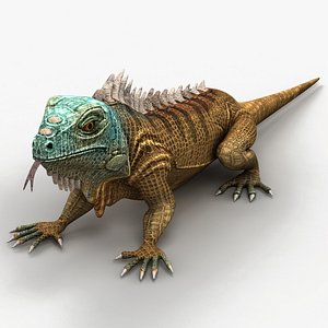 3d iguana lizard