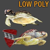 Sea Turtles Pack