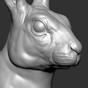 Hare