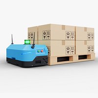Pallet lifter agv