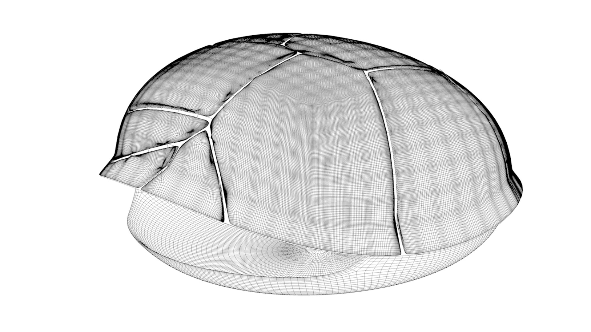 Turtle Shell 3D Model - TurboSquid 1438569