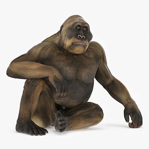 Big Ape Gigantopithecus in Sitting Pose
