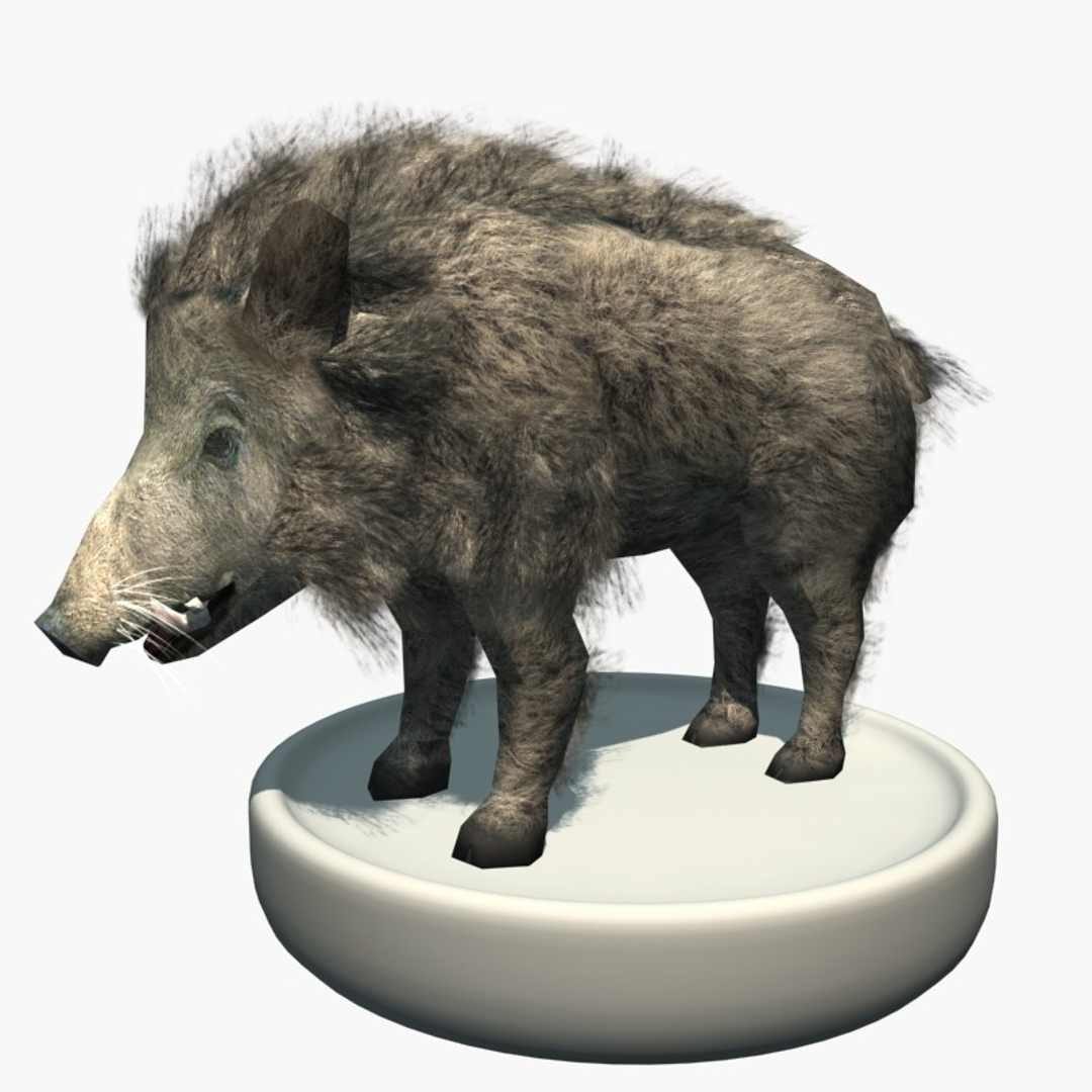 ★MPB Wild Boar★SR★Fade bream 2★ ☆MPB Wild Boar☆SR☆Fade bream 2☆ WavEnforcer Double-Sided