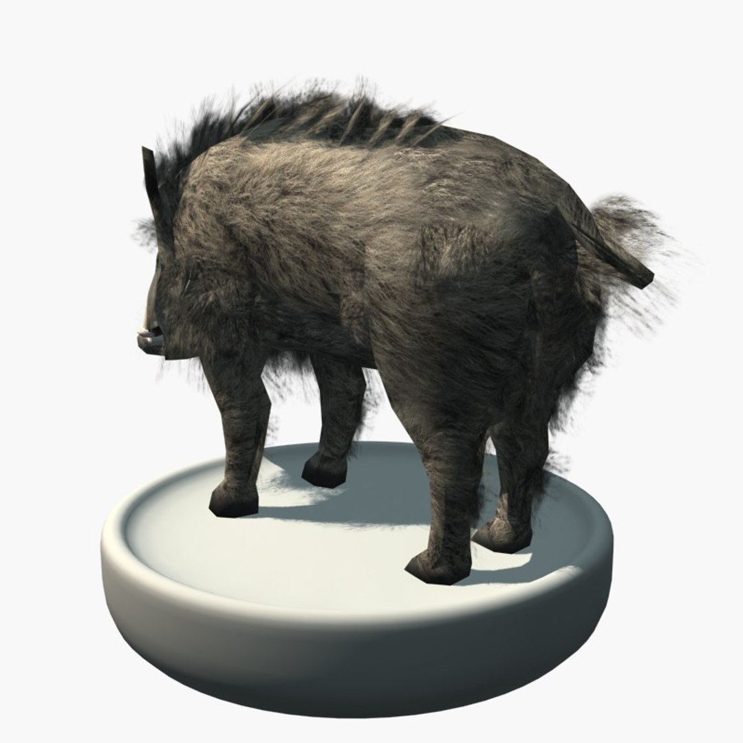mpblures wild boar SR③ 3ds Max Furry Wild Boar