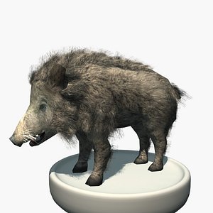 3ds max furry wild boar