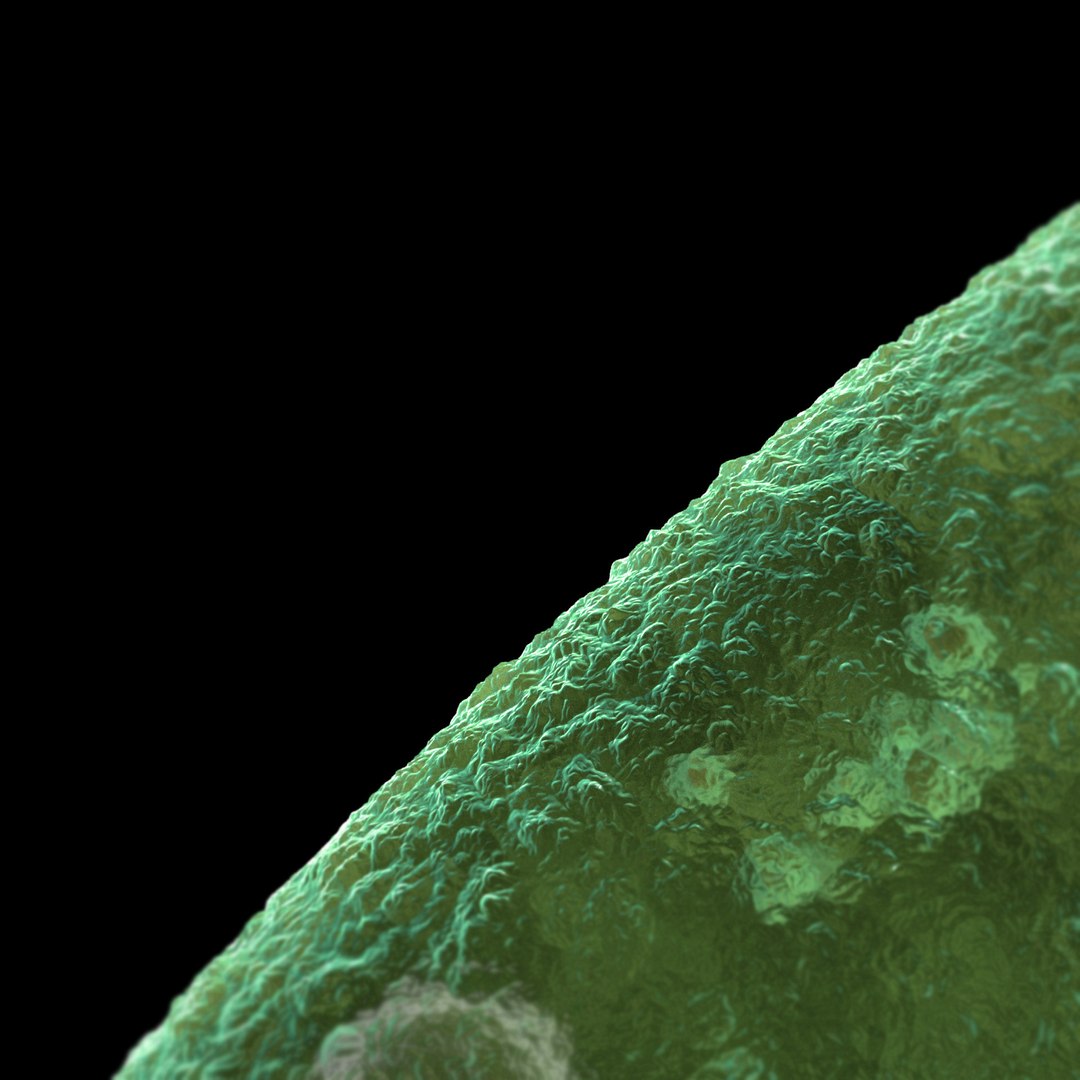 Microbes Micro Organisms 3D Model - TurboSquid 1626115