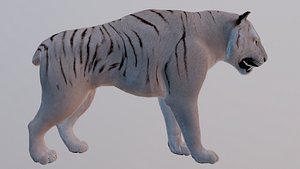 Tiger 3D model