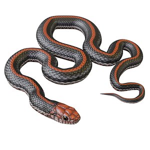 black orange snake animation 3D model